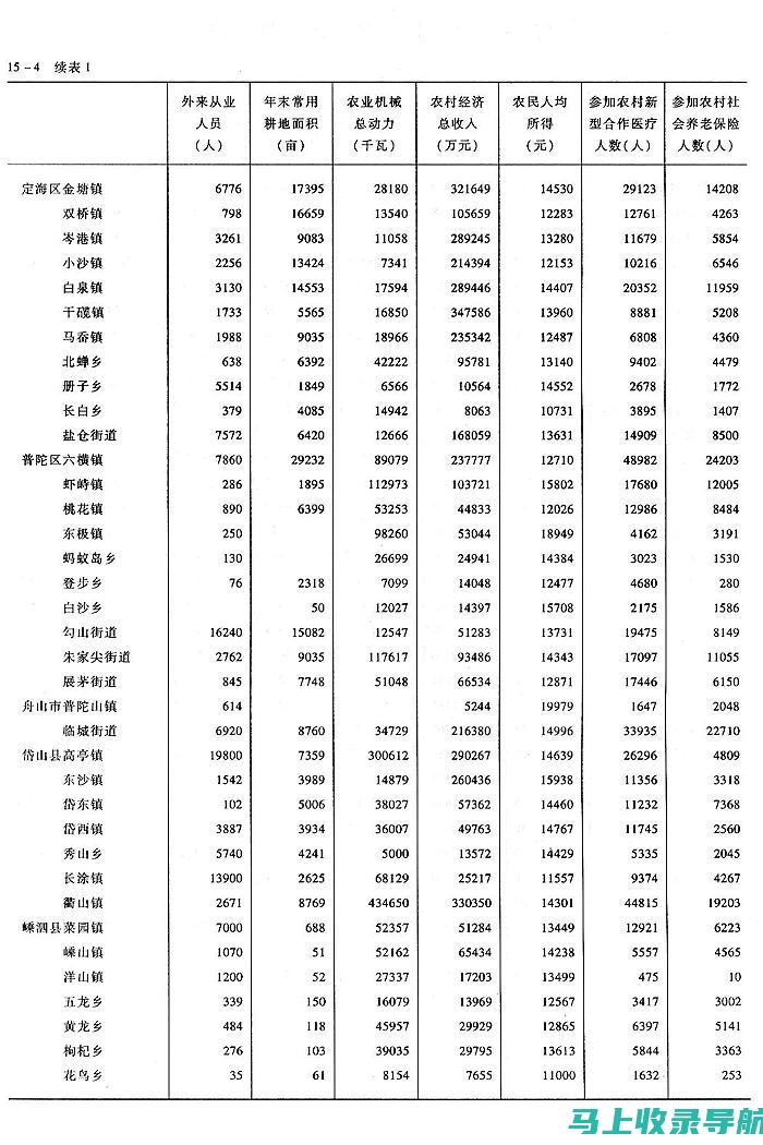 乡镇统计站站长述职报告亮点解析：从数据出发，助力乡村振兴发展